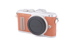 Olympus PEN E-PL8 + FL-LM1 Flash