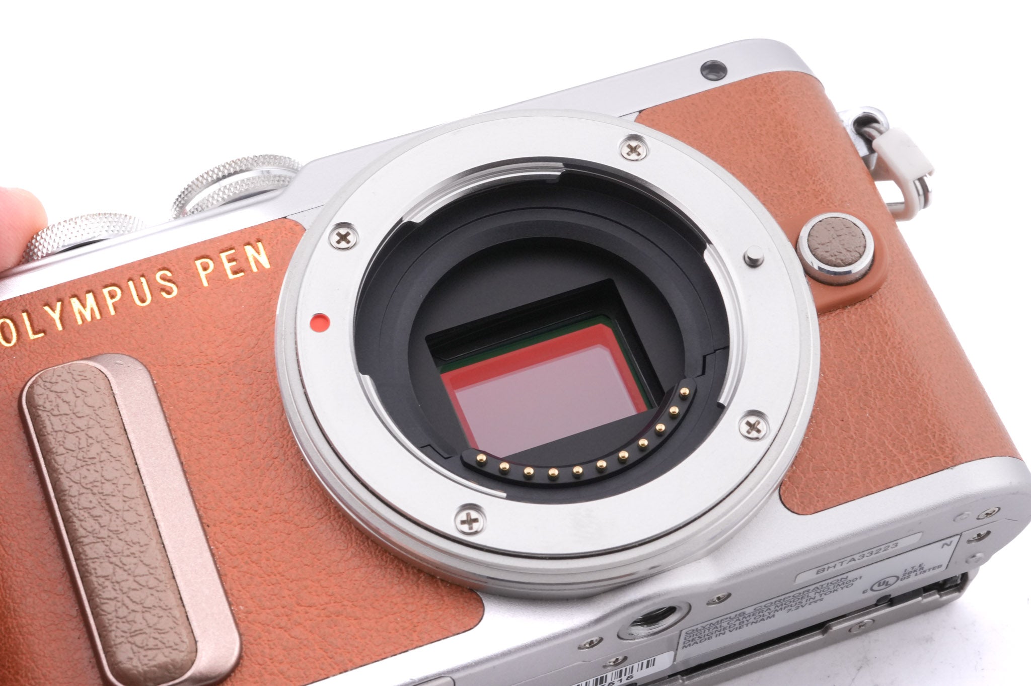 Olympus PEN E-PL8 + FL-LM1 Flash