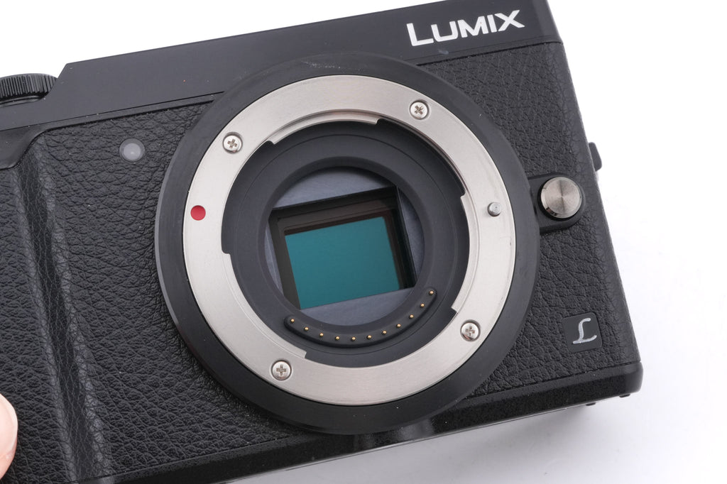 Panasonic Lumix DMC-GX80