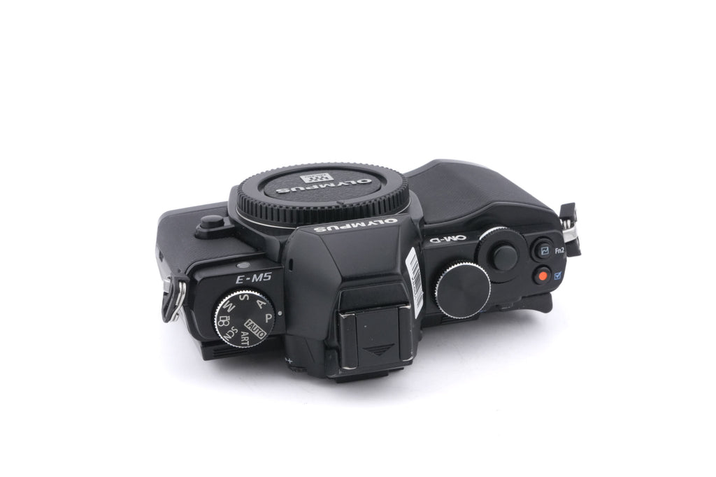 Olympus OM-D E-M5 + FL-LM2 Flash