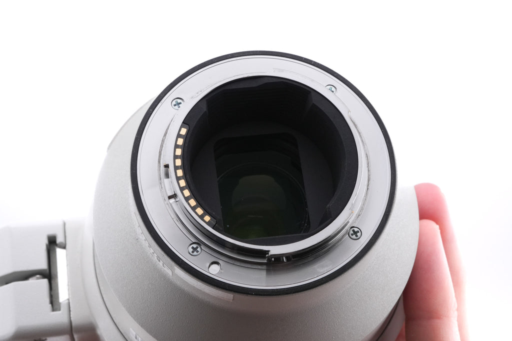 Sony 200-600mm f5.6-6.3 G OSS (SEL200600G)