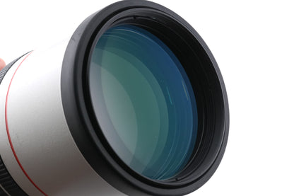 Canon 300mm f4 L IS USM