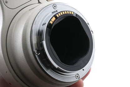 Canon 300mm f4 L IS USM