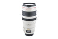 Canon 28-300mm f3.5-5.6 L IS USM