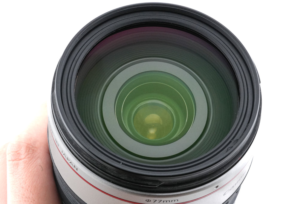 Canon 28-300mm f3.5-5.6 L IS USM