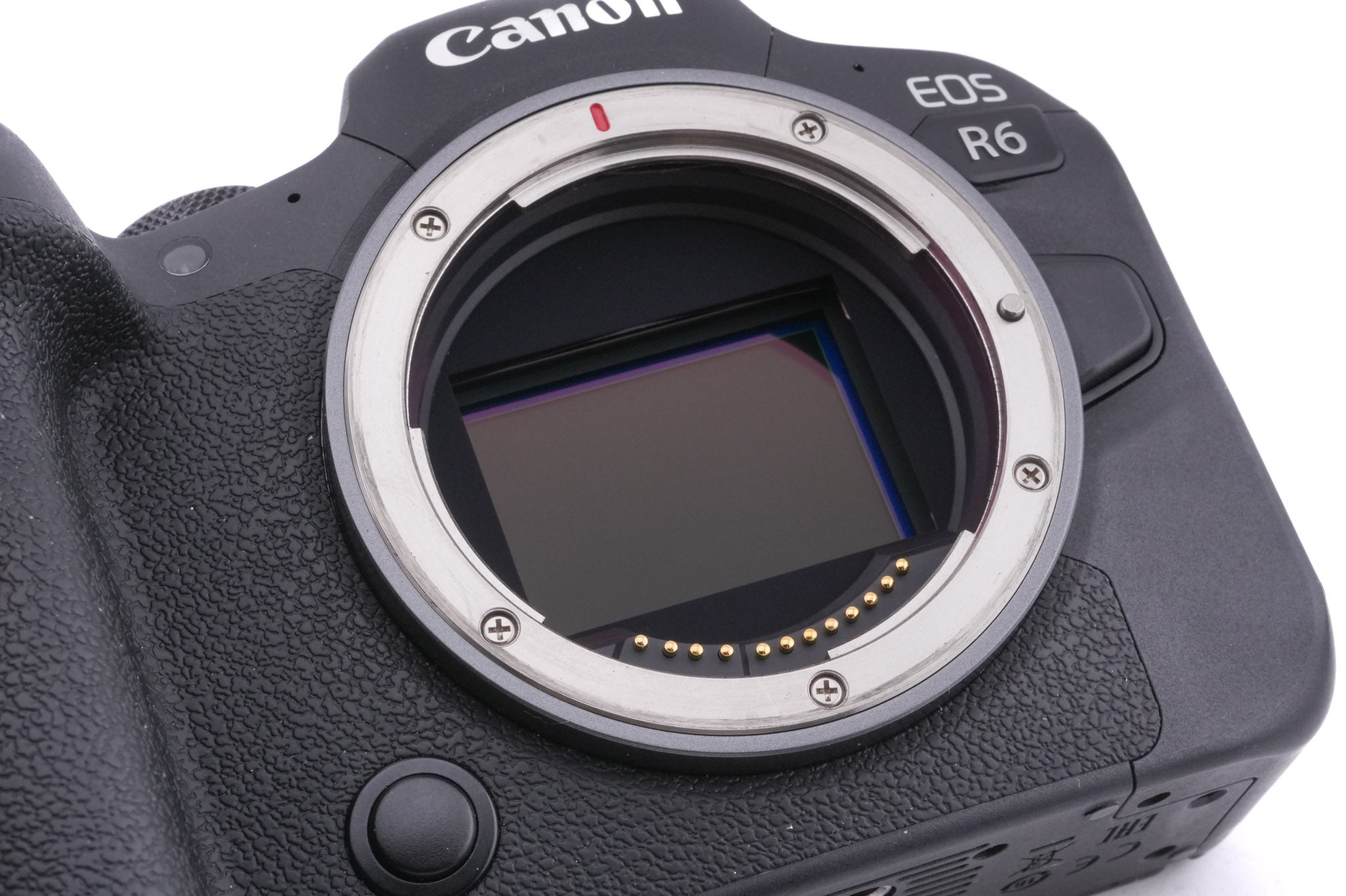 Canon EOS R6