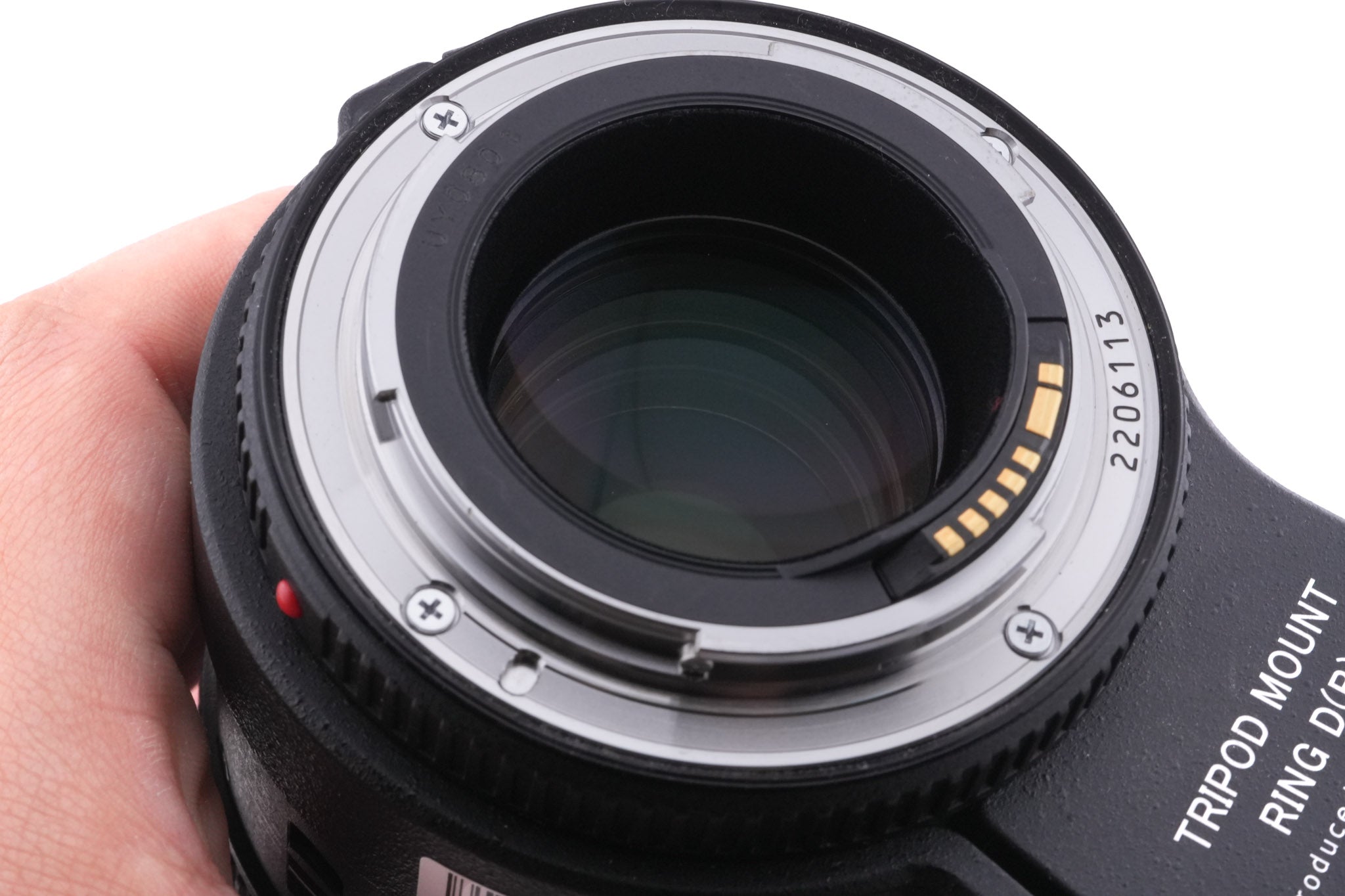 Canon 100mm f2.8 L Macro IS USM