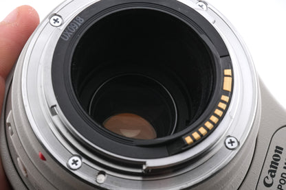 Canon 100-400mm f4.5-5.6 L IS USM