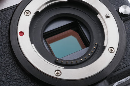 Panasonic Lumix DMC-GX80