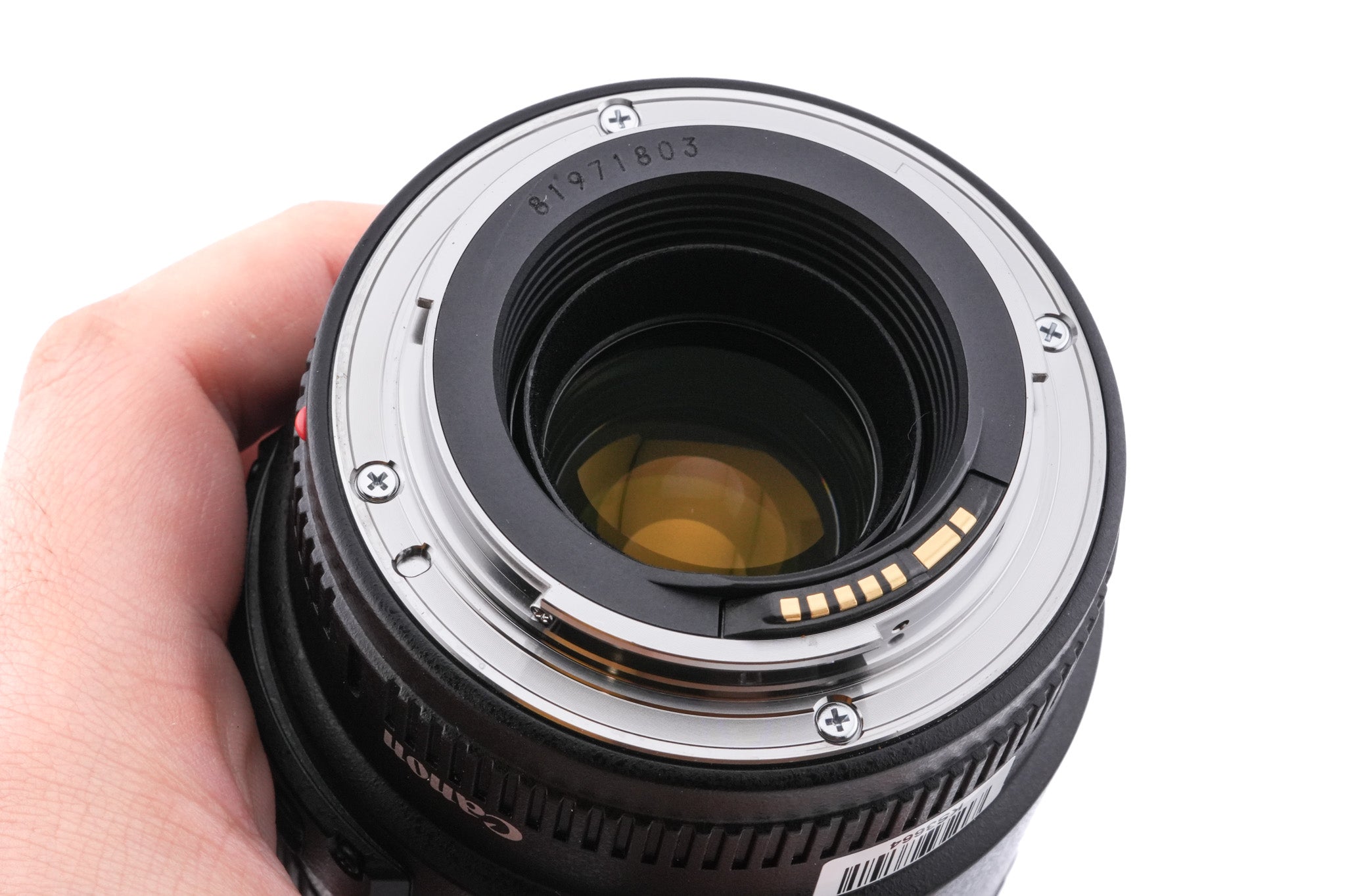 Canon 100mm f2.8 Macro USM