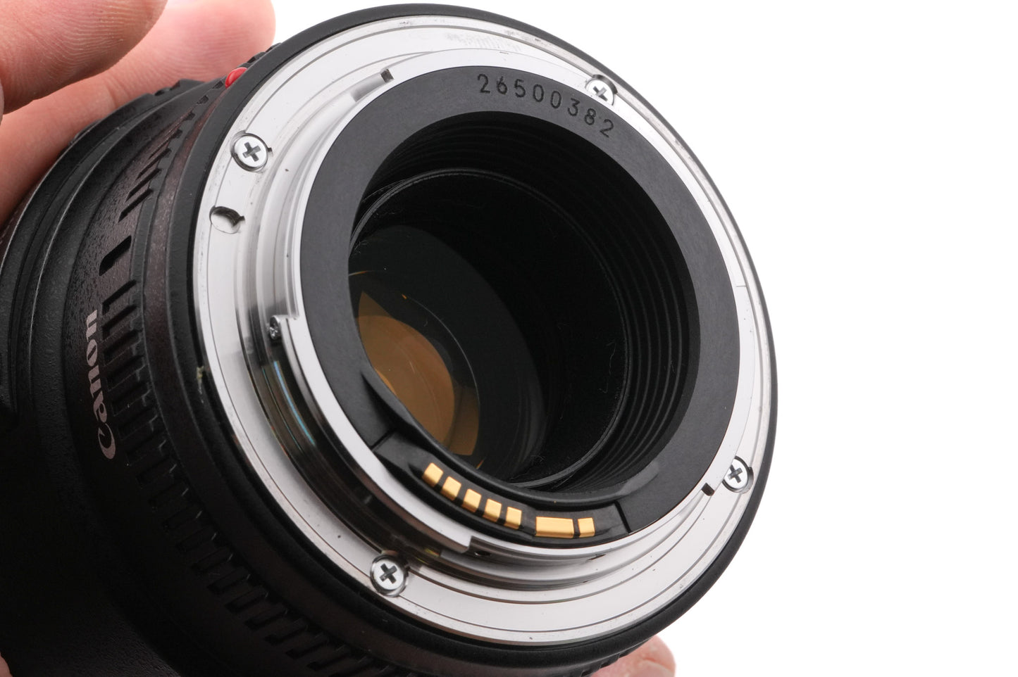 Canon 100mm f2.8 Macro USM