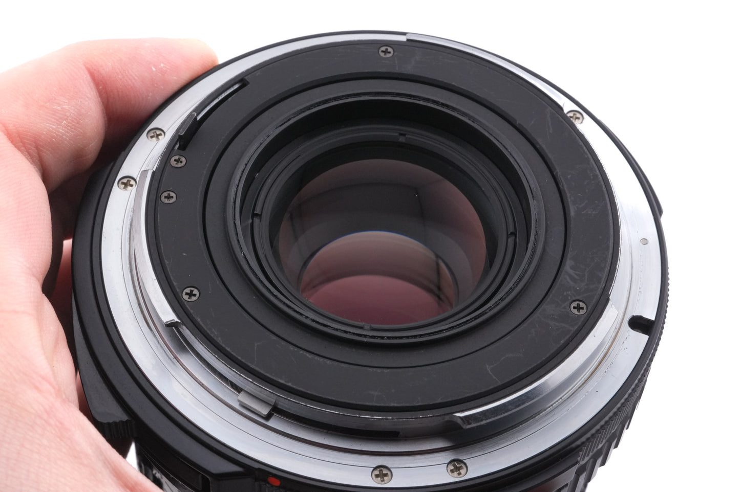 Pentax 100mm f4 SMC Macro Pentax 67 + SMC Life-Size Converter 67