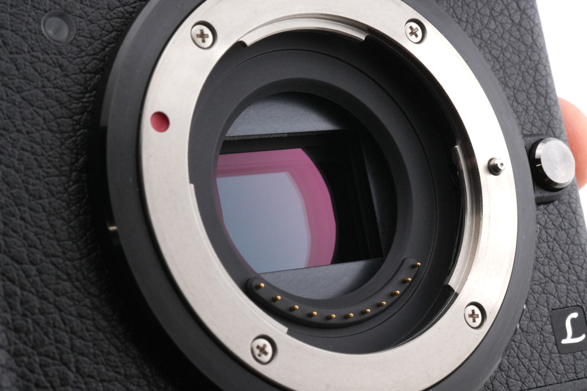Panasonic Lumix DMC-GX80