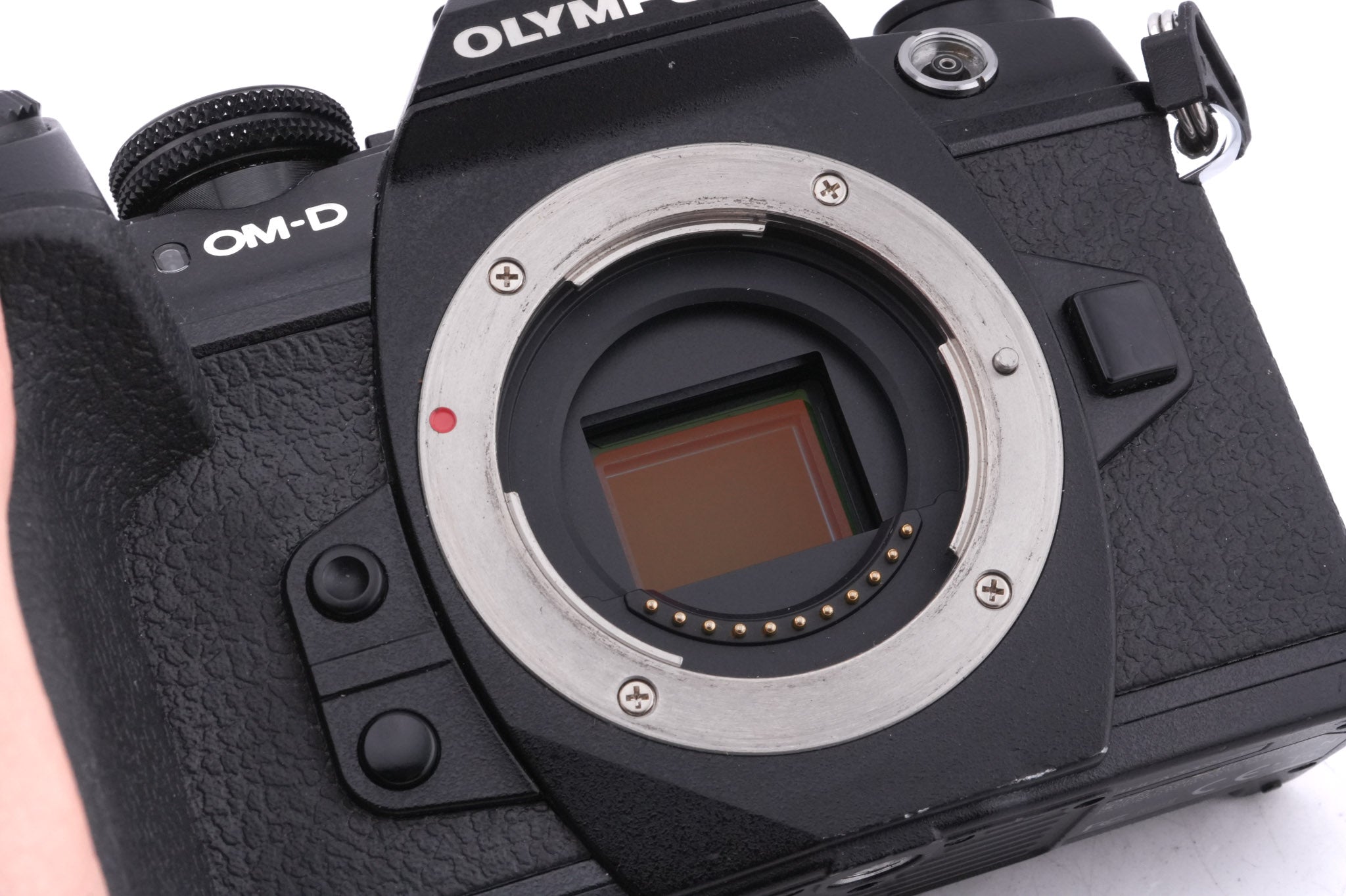 Olympus OM-D E-M1 Mark II