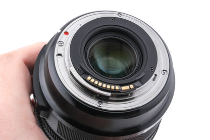 Sigma 24-105mm f4 DG OS HSM Art (013)
