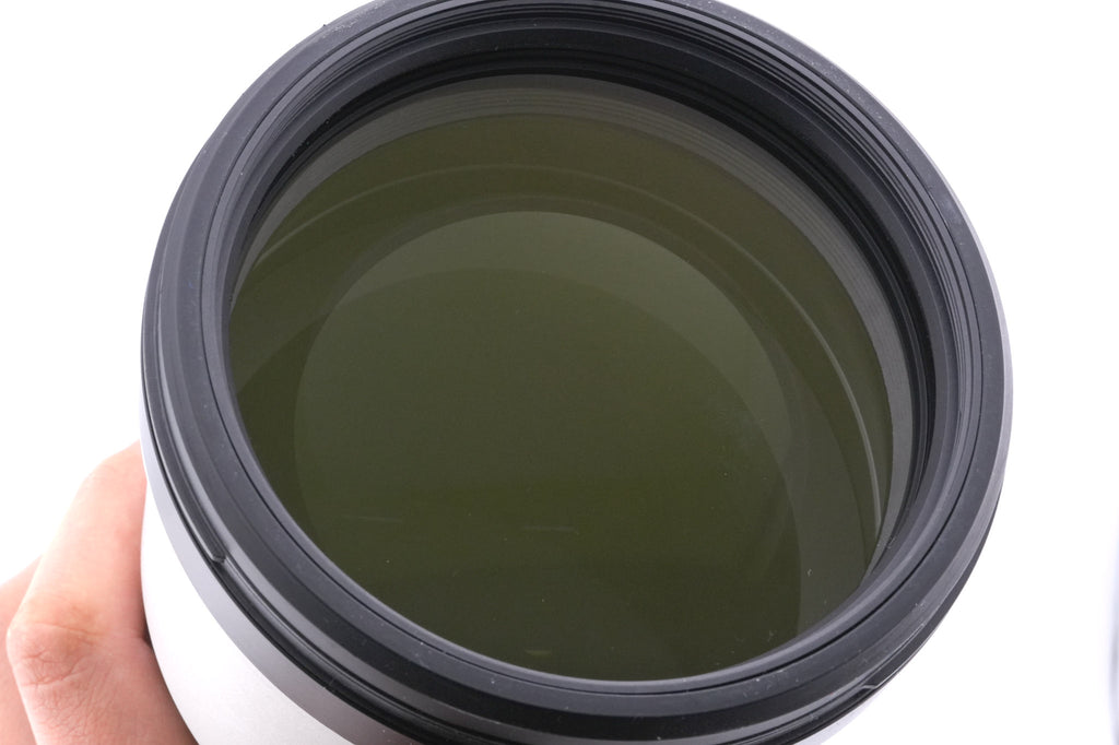 Sony 200-600mm f5.6-6.3 G OSS (SEL200600G)