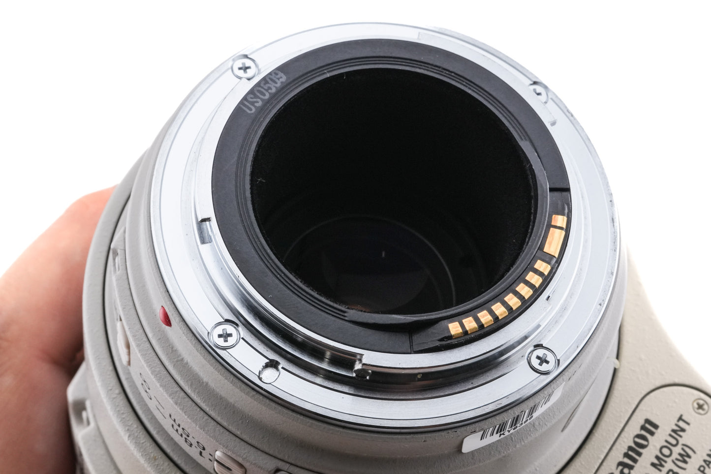 Canon 100-400mm f4.5-5.6 L IS USM