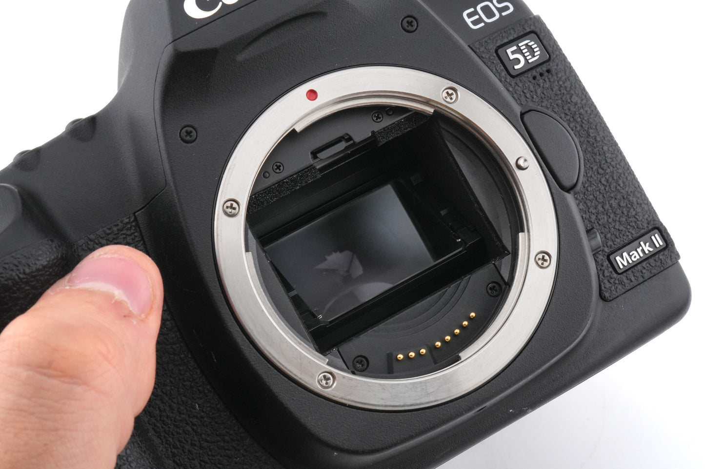 Canon EOS 5D Mark II