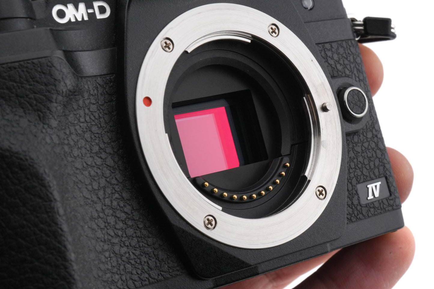 Olympus OM-D E-M10 Mark IV