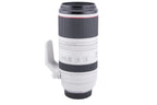 Canon 100-500mm f4.5-7.1 L IS USM