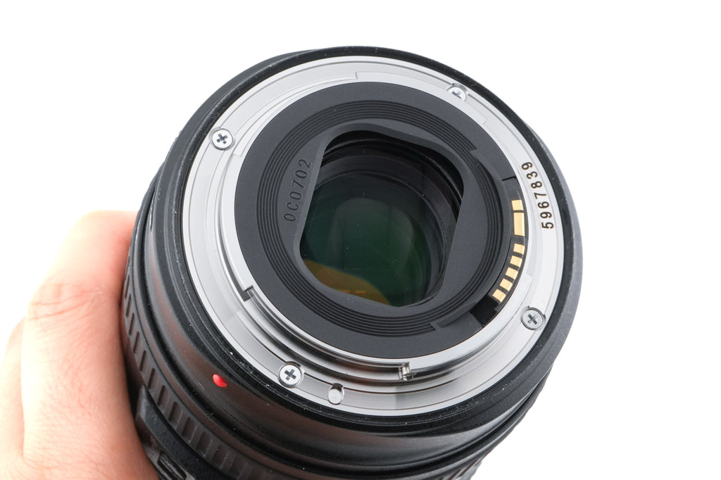 Canon 24-105mm f4 L IS USM