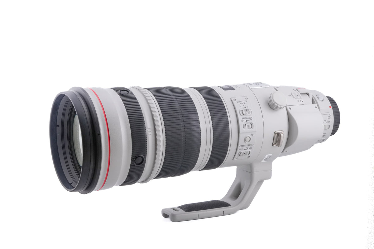 Canon 200-400mm f4 L IS USM 1.4X