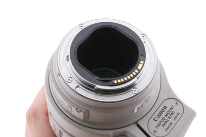 Canon 300mm f4 L IS USM