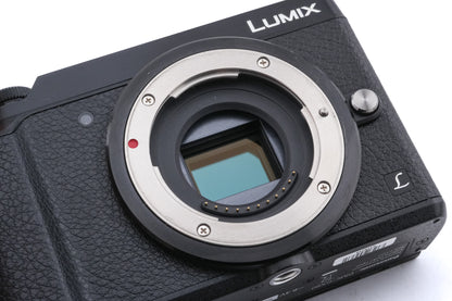 Panasonic Lumix DMC-GX80