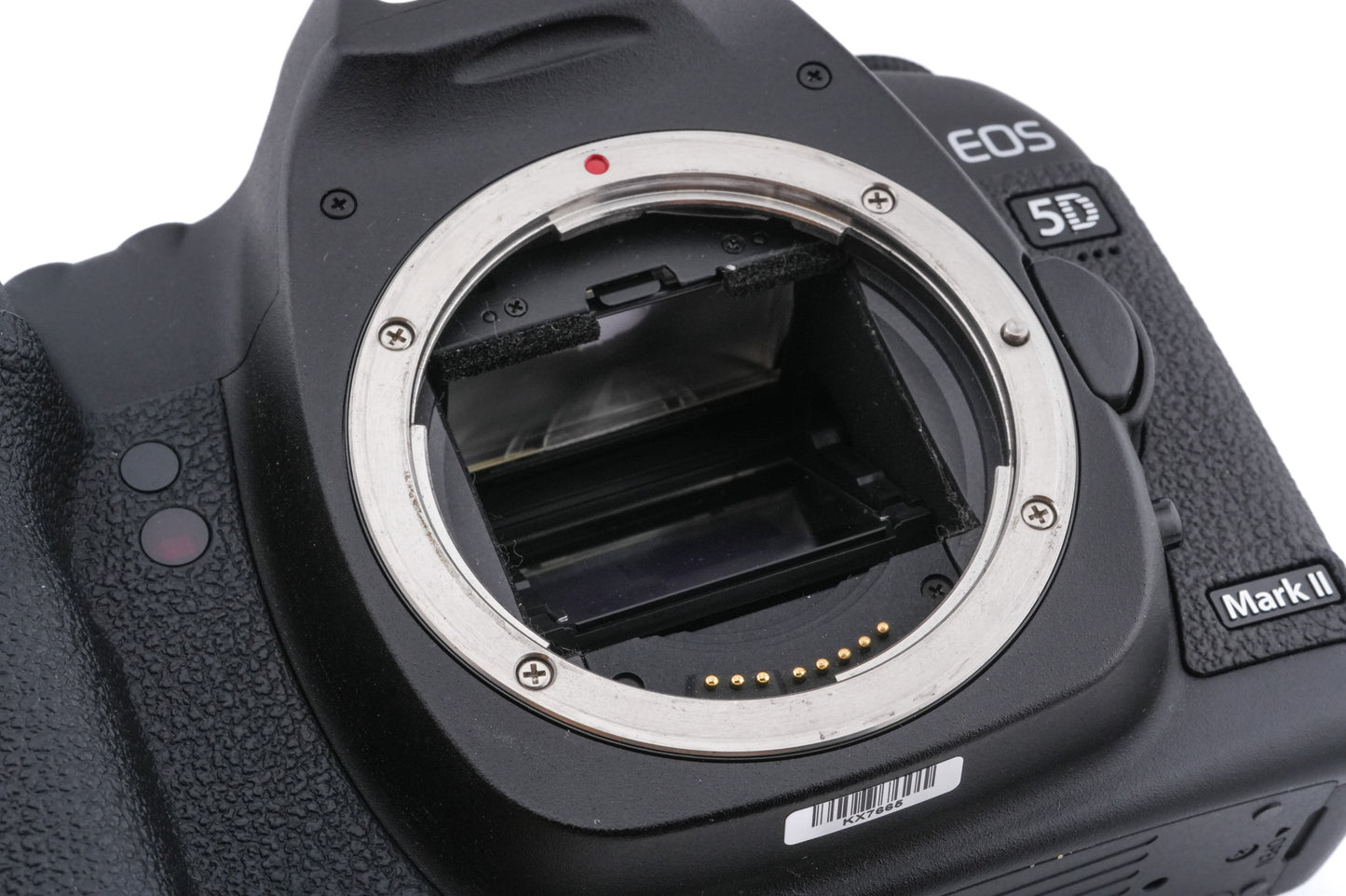 Canon EOS 5D Mark II