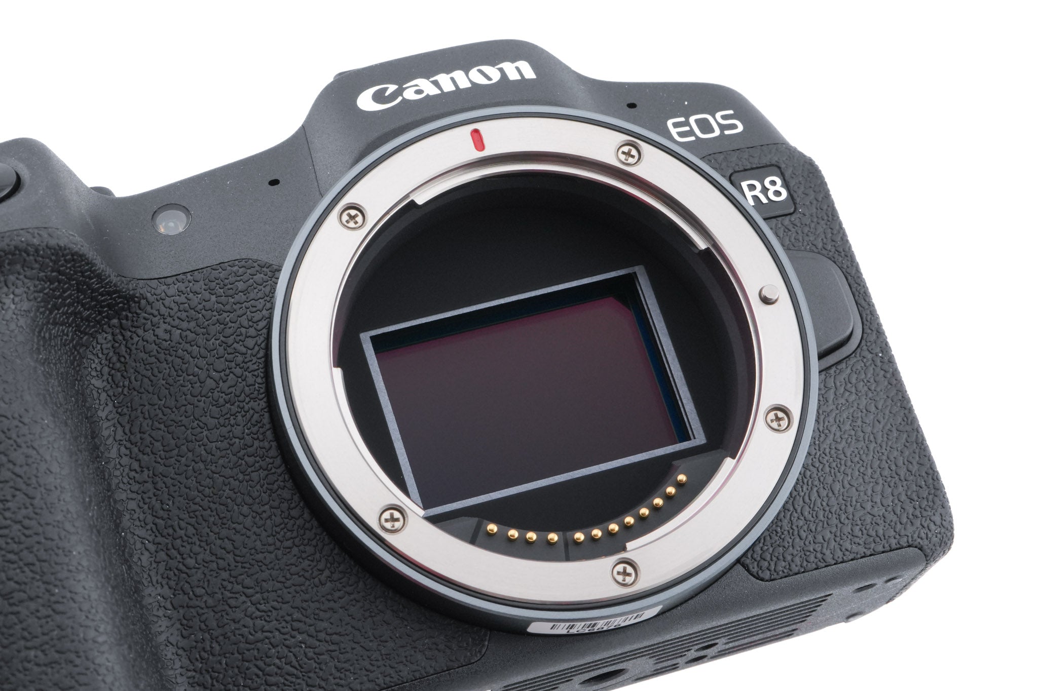 Canon EOS R8