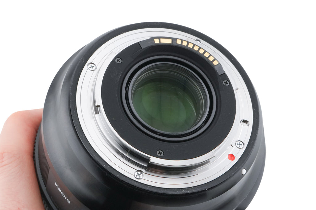 Sigma 24-70mm f2.8 DG OS HSM Art (017)