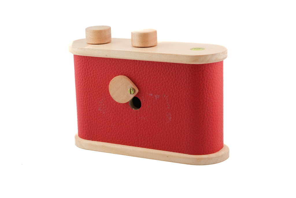 Lerouge 66 Pinhole