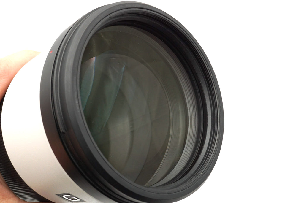 Sony 200-600mm f5.6-6.3 G OSS (SEL200600G)