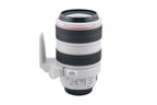 Canon 70-300mm f4-5.6 L IS USM