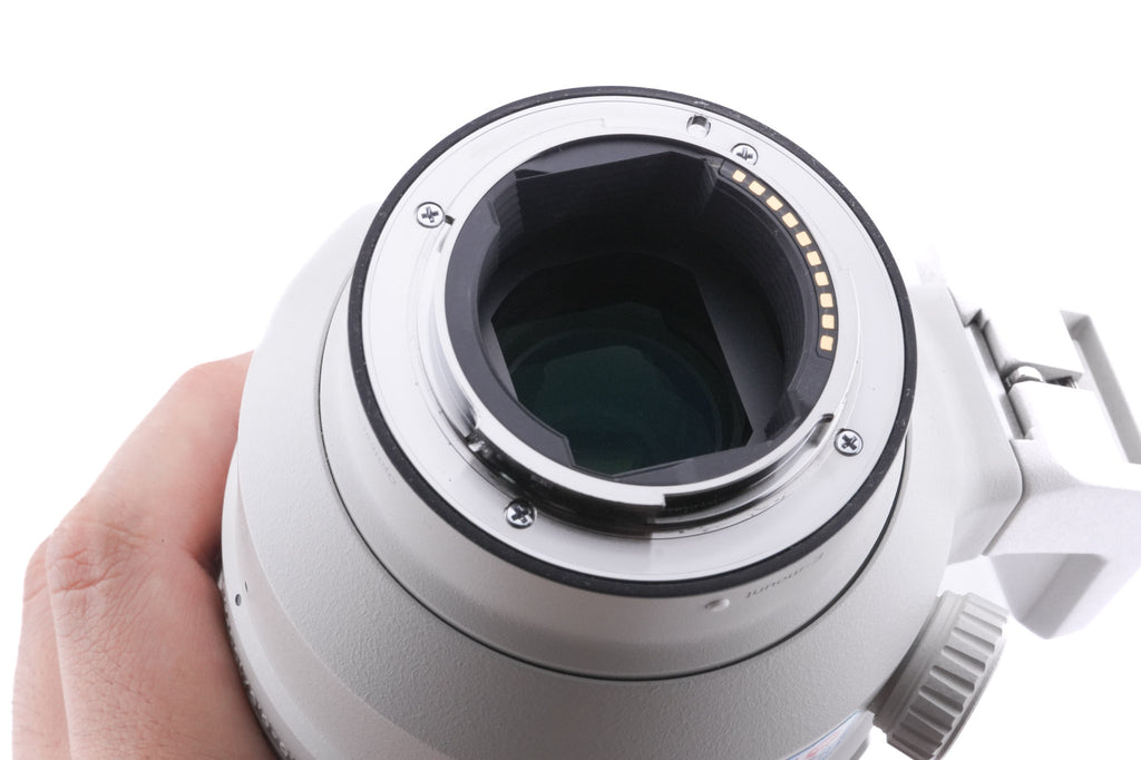 Sony 100-400mm f4.5-5.6 GM OSS (SEL100400GM)