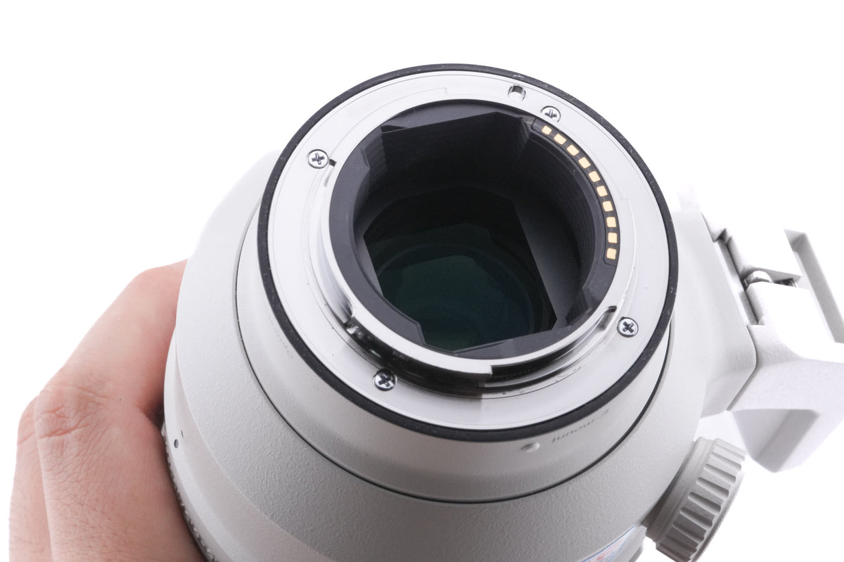 Sony 100-400mm f4.5-5.6 GM OSS (SEL100400GM)