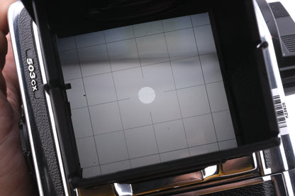 Hasselblad 503CX (10026 / 10172) + Waist Level Finder (New / Chrome, 42315) + 80mm f2.8 Planar T* CF (20029) + A12N Film Magazine + Acute Matte Grid / Split Image Focusing Screen (42170)