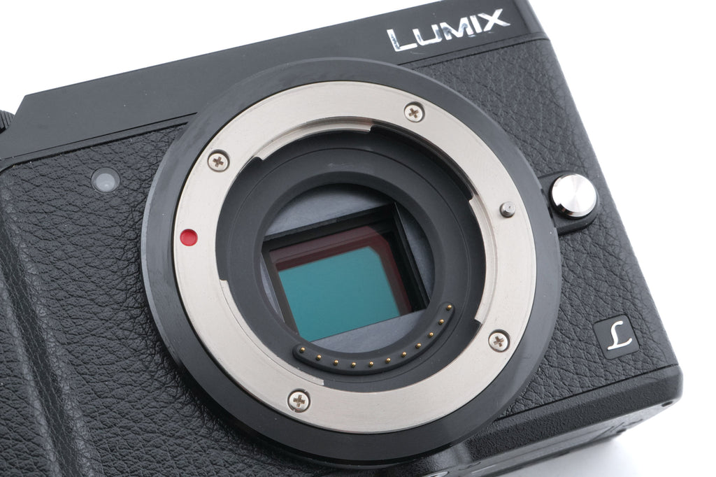 Panasonic Lumix DMC-GX80