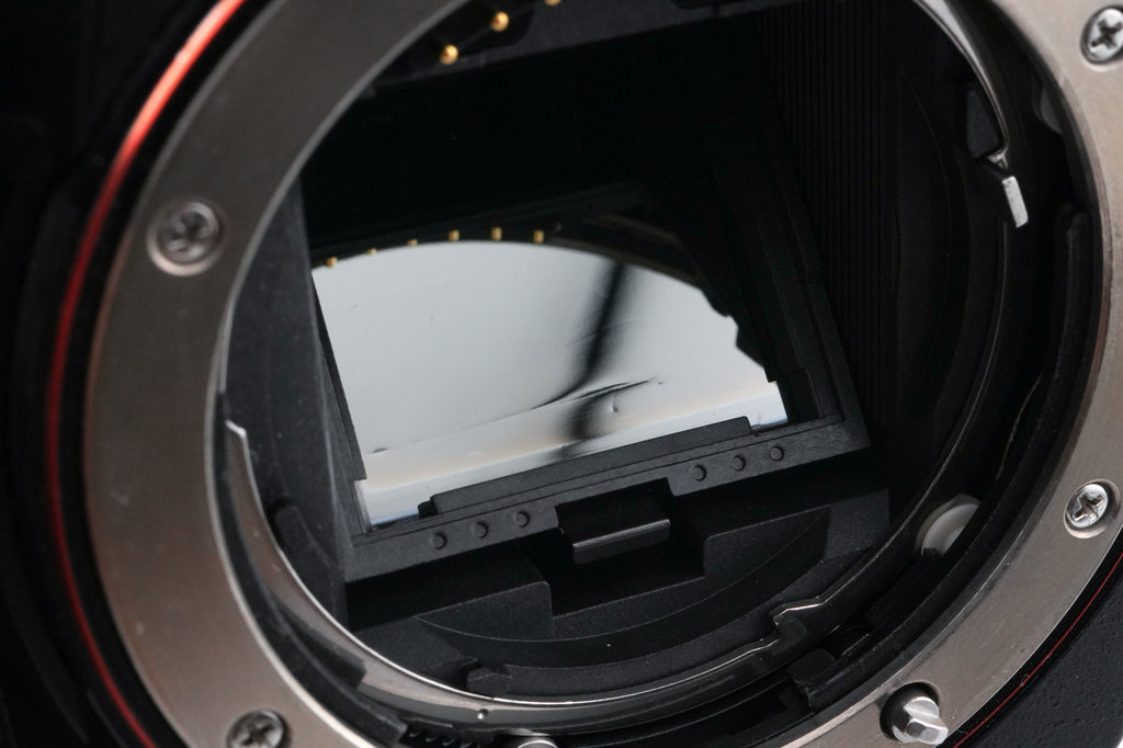 Sony A65