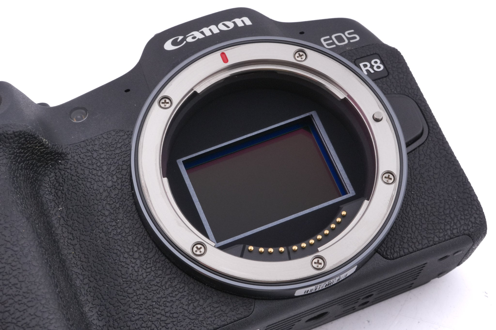 Canon EOS R8
