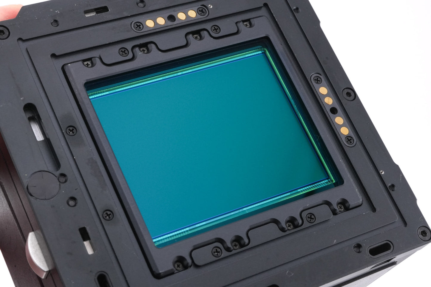 Phase One P45+ Digital Back