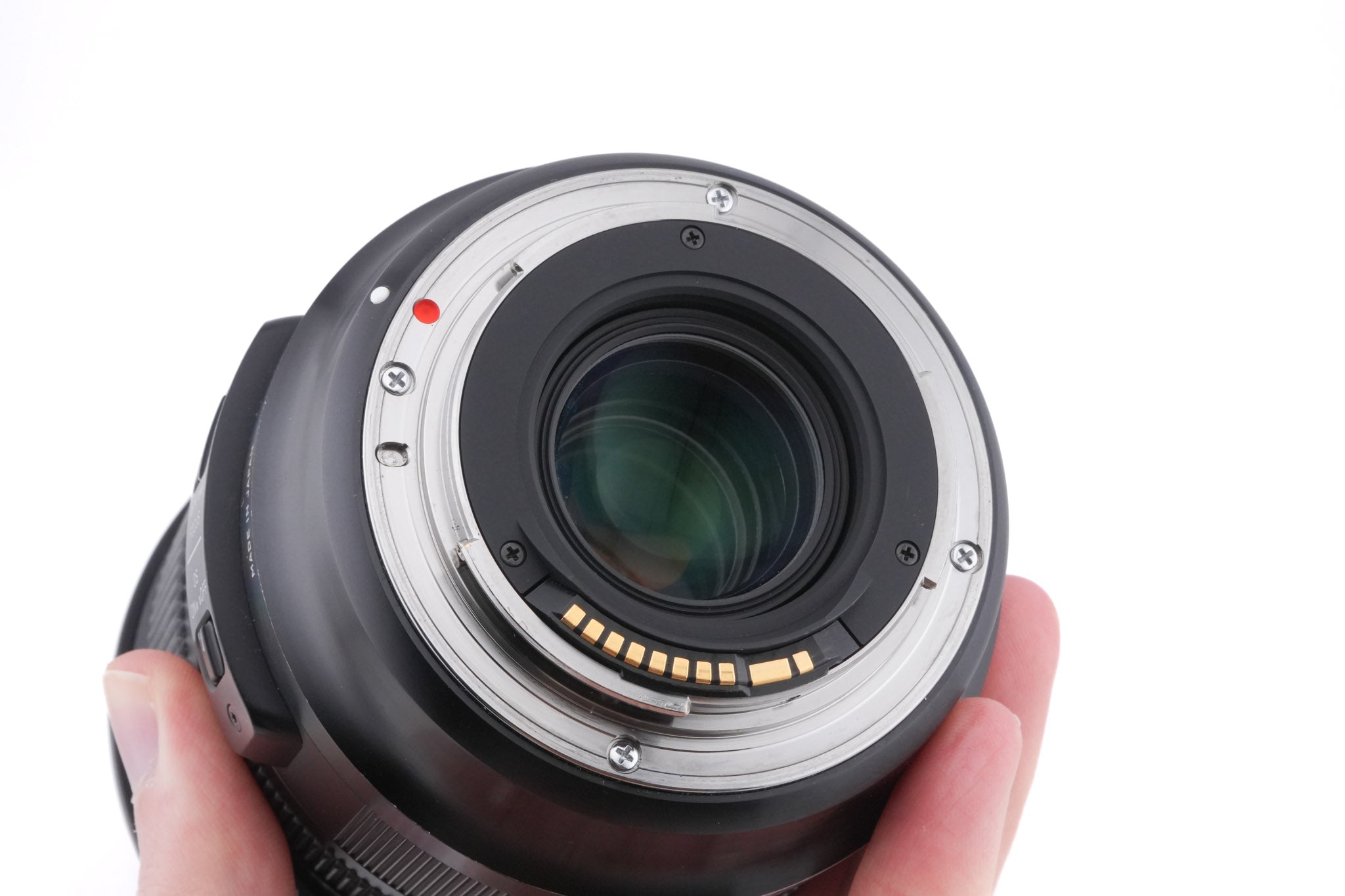 Sigma 24-105mm f4 DG OS HSM Art (013)