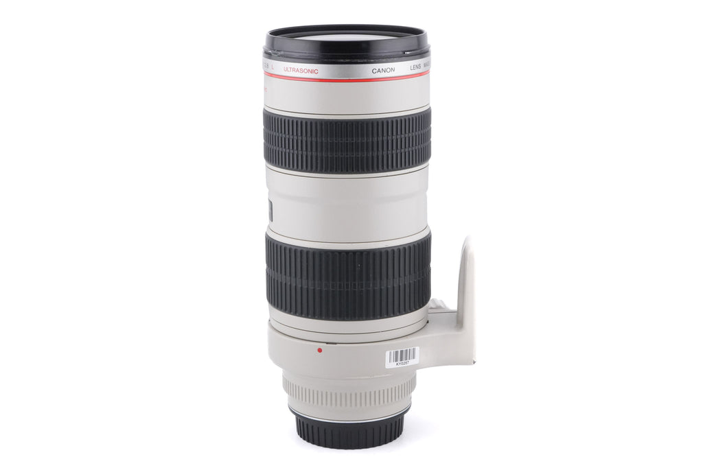 Canon 70-200mm f2.8 L USM