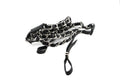Olympus Necklace Strap (Style Collection)