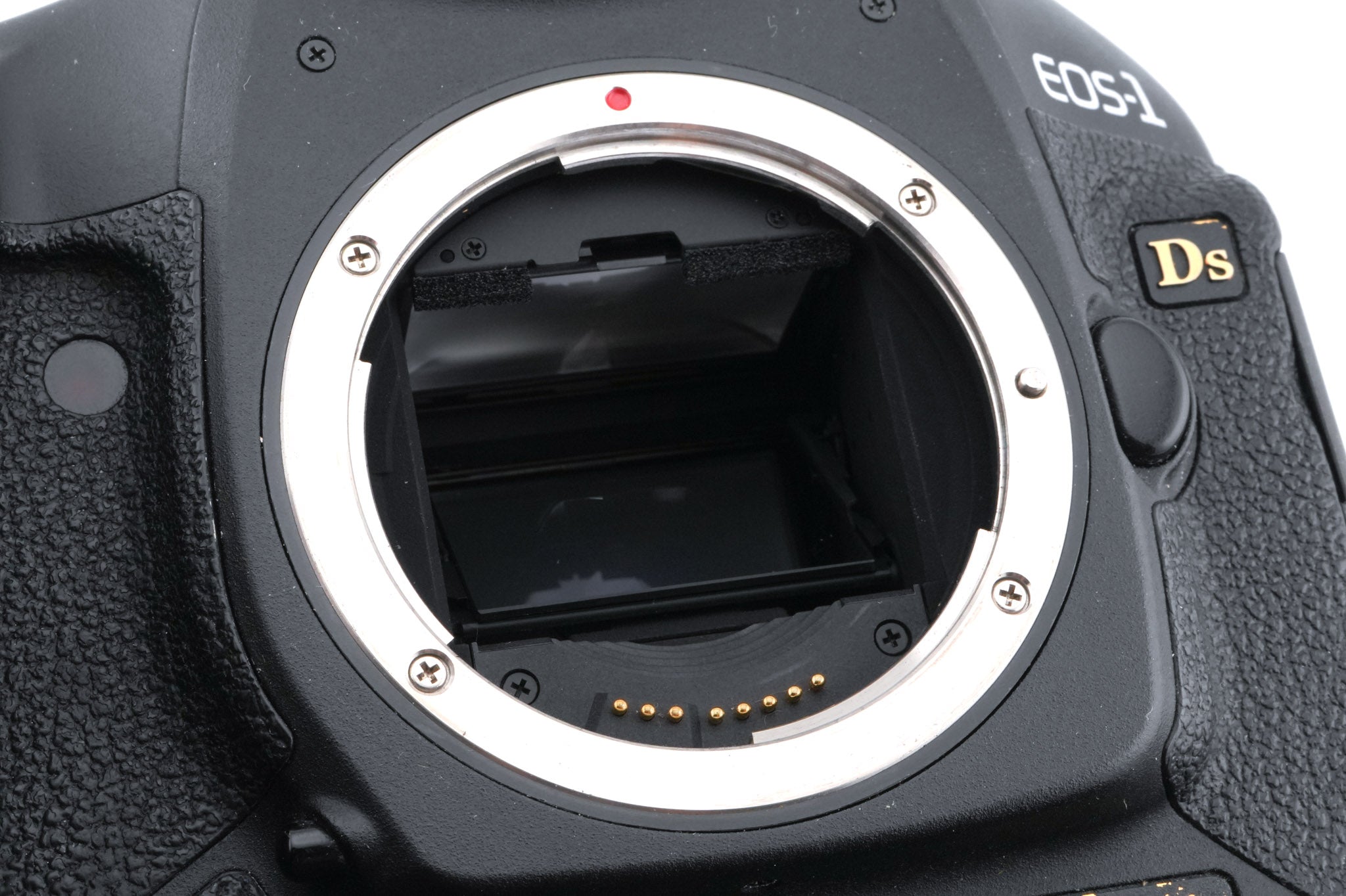 Canon EOS 1Ds Mark III