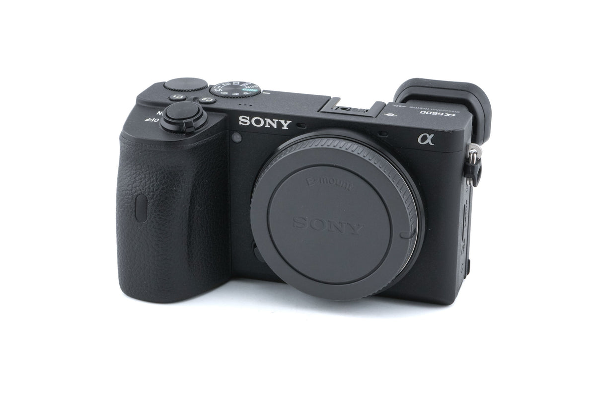Sony A6600