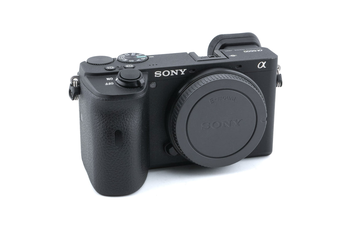 Sony A6600