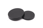 Olympus FCON-P01 Fish Eye Converter
