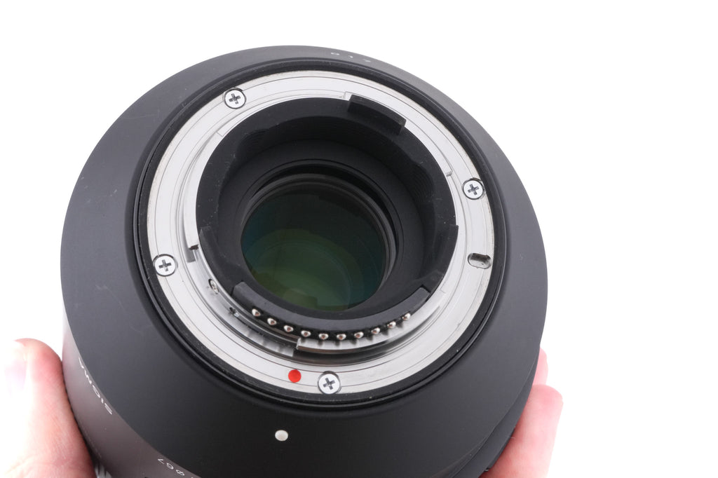 Sigma 100-400mm f5-6.3 DG OS HSM Contemporary (017)
