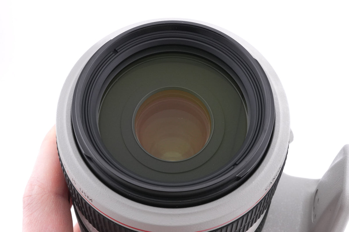 Canon 70-300mm f4-5.6 L IS USM